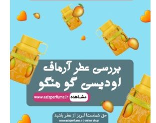 بررسی ادکلن آرماف گو منگو فروشگاه آنلاین عزیز پرفیوم